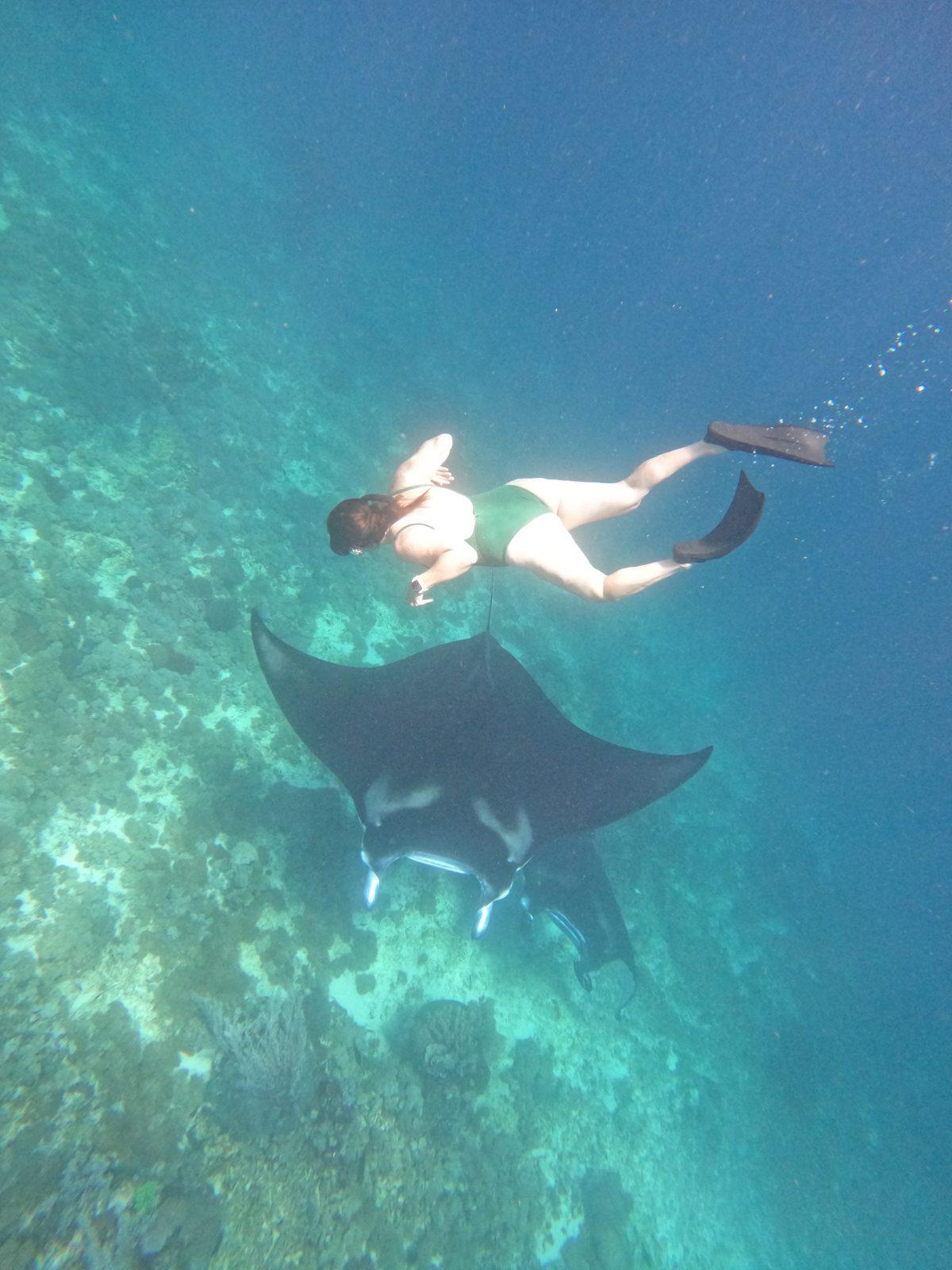 Manta Point – Snorkeller swimming beside manta ray (Photo réelle d'une sortie KEXI)